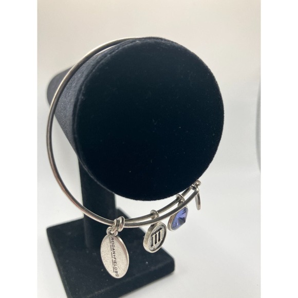 Rodan + Fields Charm Silver-Tone Bangle Bracelet! - Picture 3 of 15